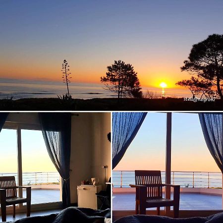 U Stagnu Locations Chambres Corse Borgo  Dış mekan fotoğraf