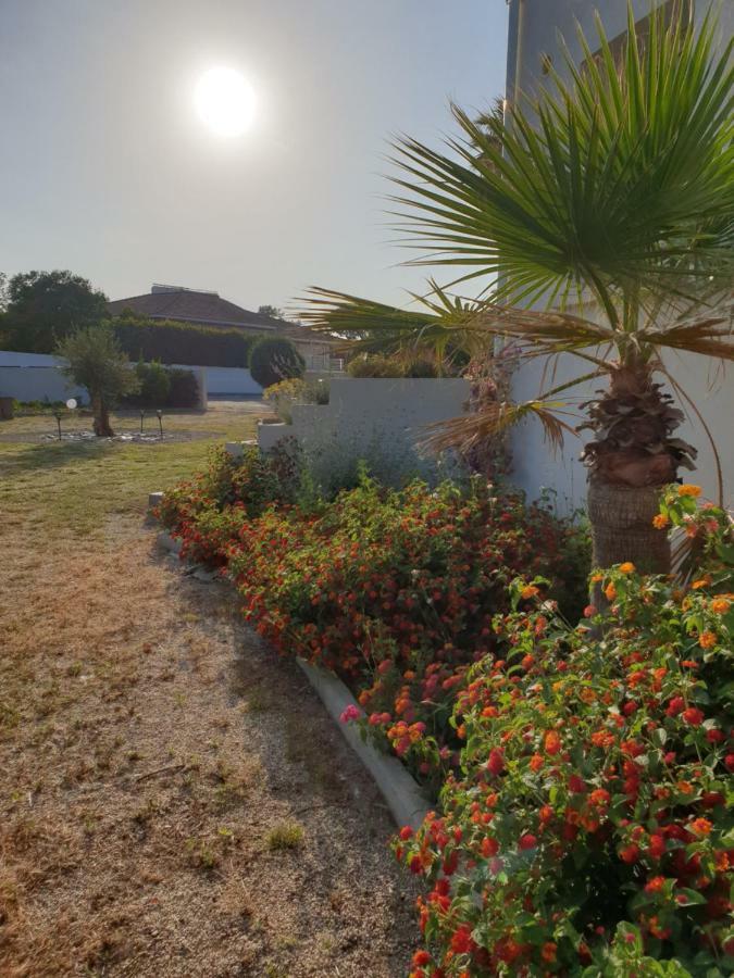 U Stagnu Locations Chambres Corse Borgo  Dış mekan fotoğraf