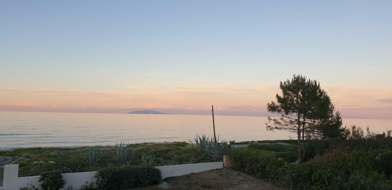 U Stagnu Locations Chambres Corse Borgo  Dış mekan fotoğraf